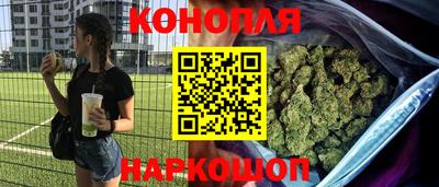 индика Беслан