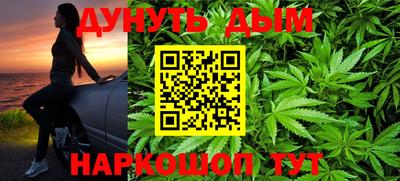 индика Беслан